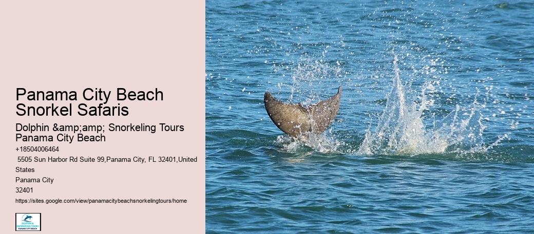 Panama City Beach Snorkeling Tour Walking