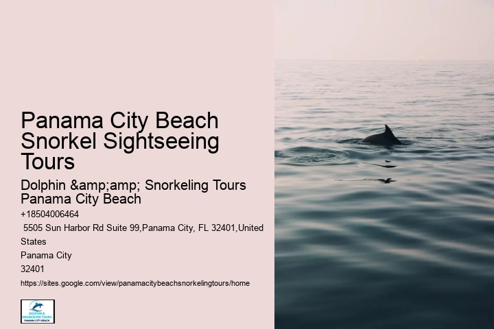 Panama City Beach Snorkel Adventures