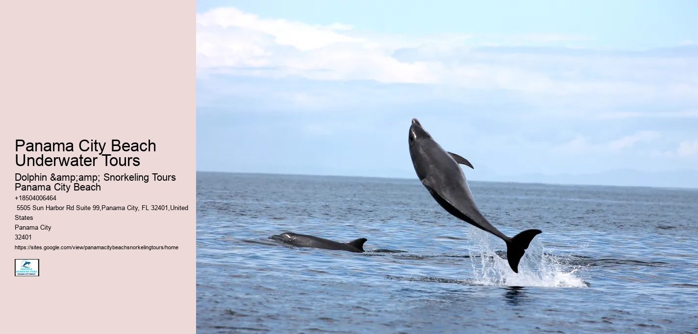 Panama City Beach Underwater Tours