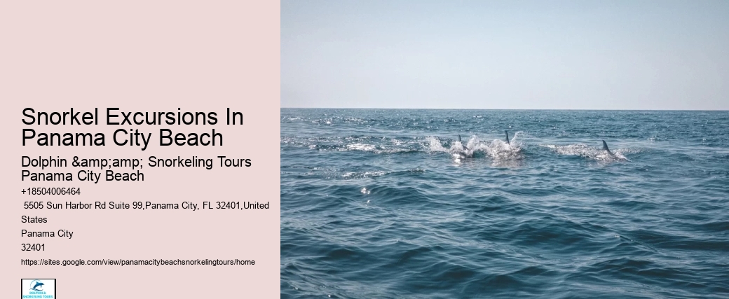 Snorkel Excursions In Panama City Beach