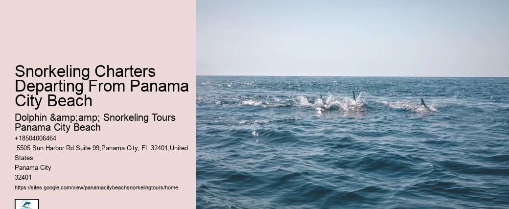 Panama City Beach Snorkeling Tours Park City