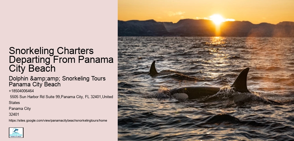 Panama City Beach Snorkel Discovery Trips