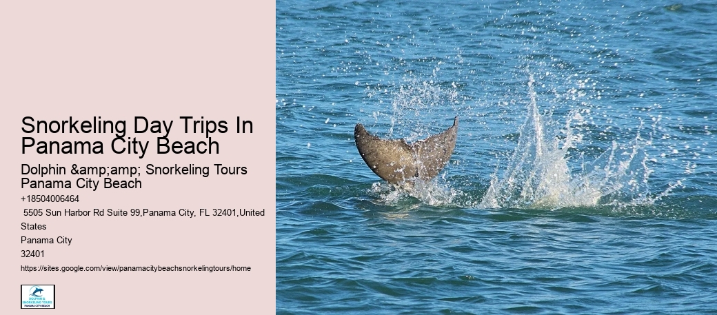 Snorkeling Tours Panama City Beach Beach