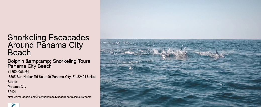 Snorkeling Escapades Around Panama City Beach