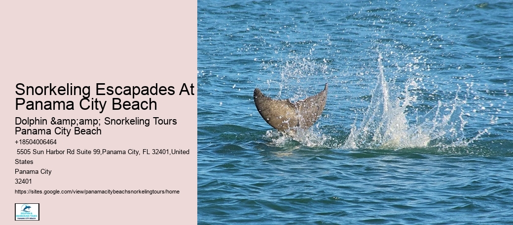 Panama City Beach Snorkeling Tours 60