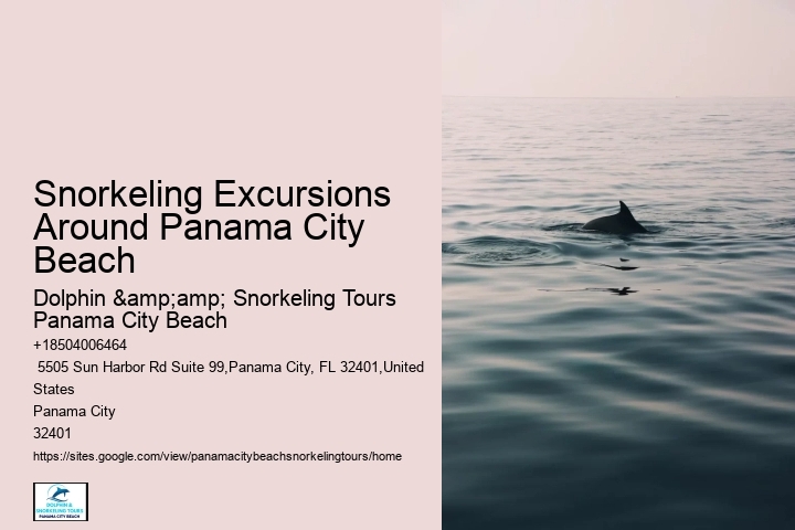 Are There Any Coral Reefs Near Panama City Beach Beach