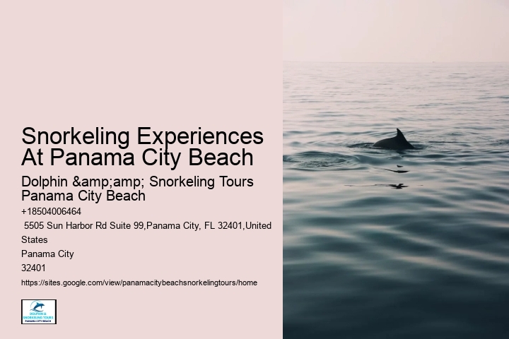 Panama City Beach Reef Snorkeling Tours