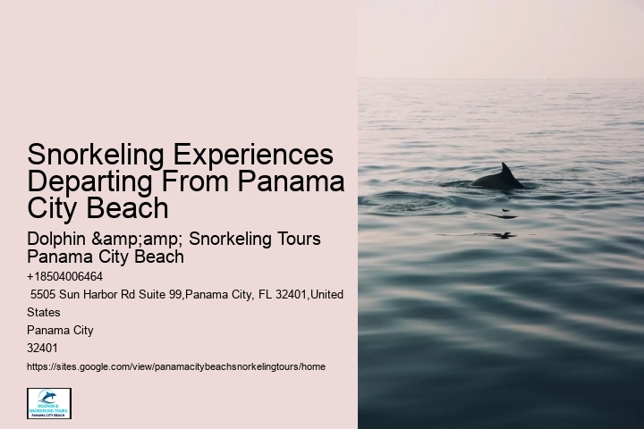Panama City Beach Snorkeling Tours Delaware Valley