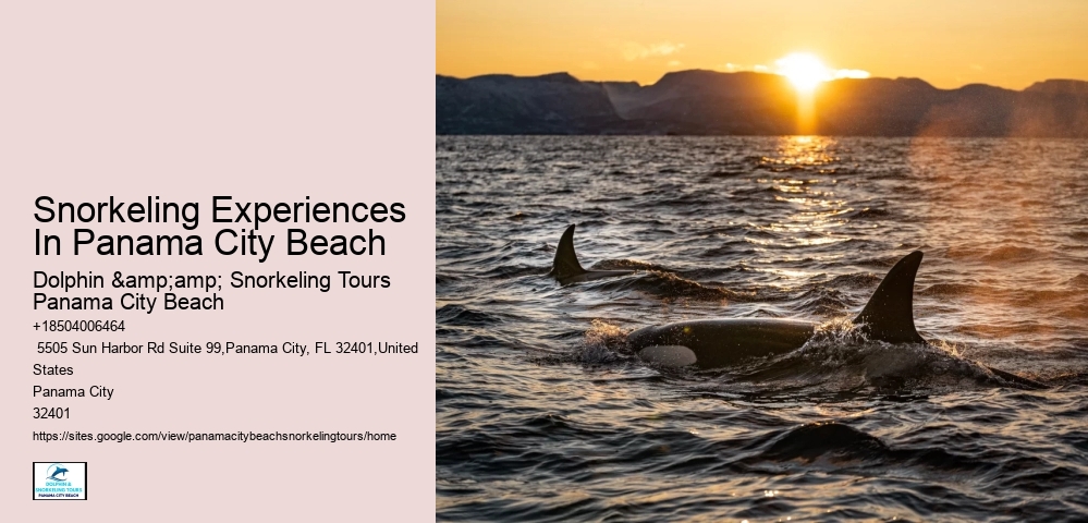 Panama City Beach Snorkel Discovery Cruises