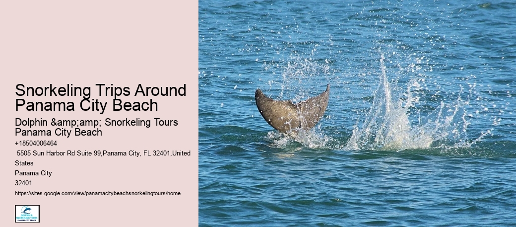 Panama City Beach Snorkeling Tours Panama City Beach Beach
