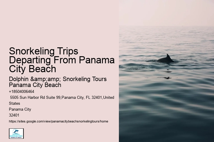Panama City Beach Snorkel Discovery Voyages