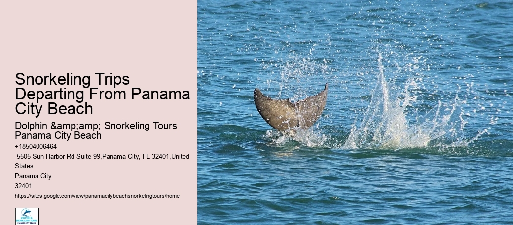 Panama City Beach Snorkel Cruises
