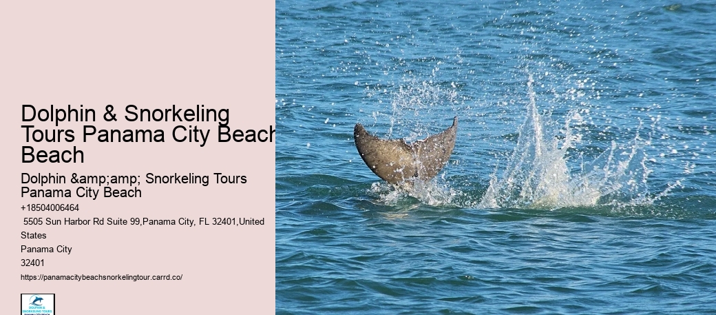 Snorkeling Adventures Departing From Panama City Beach