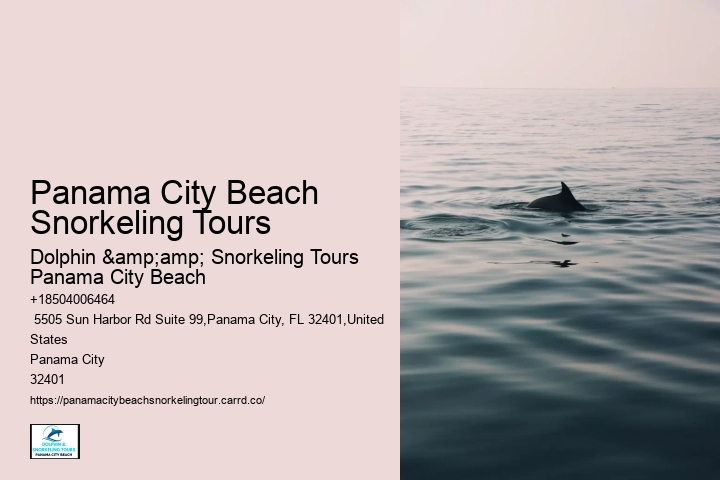 Snorkeling Charters Departing From Panama City Beach