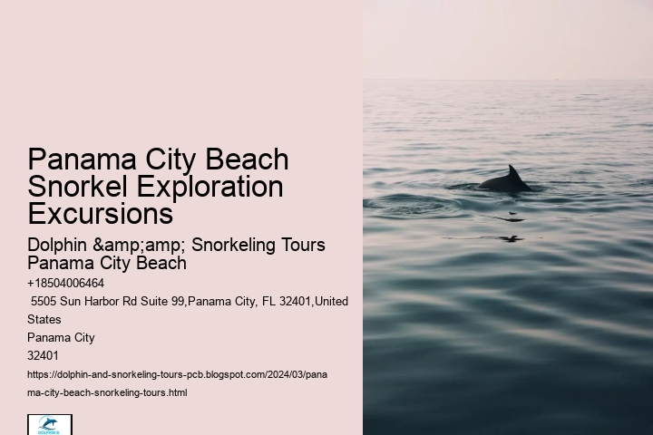 Panama City Beach Snorkel Exploration Excursions