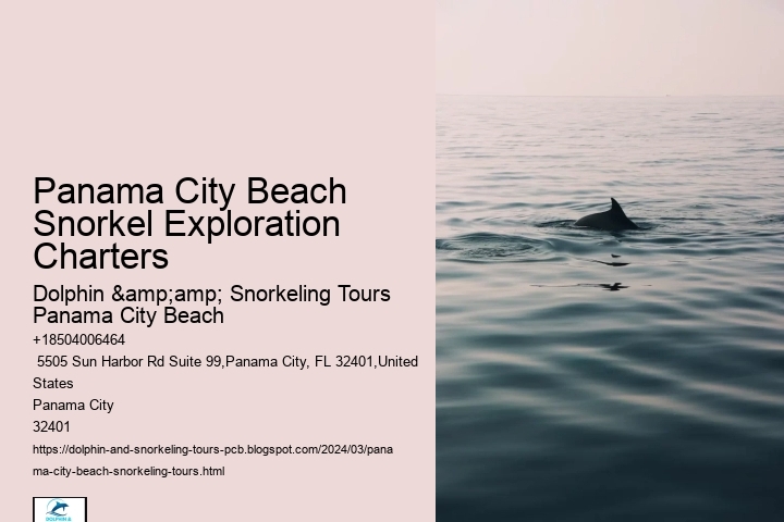 Panama City Beach Snorkel Exploration Charters