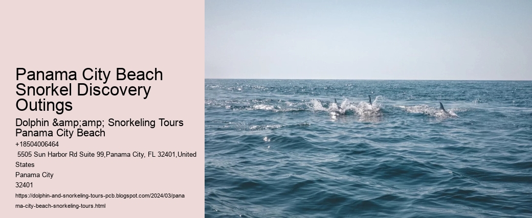 Panama City Beach Snorkel Discovery Outings