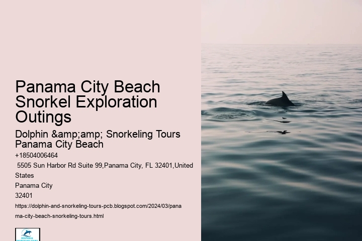 Panama City Beach Snorkel Exploration Outings