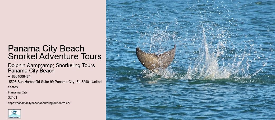 Panama City Beach Snorkeling Tours 020