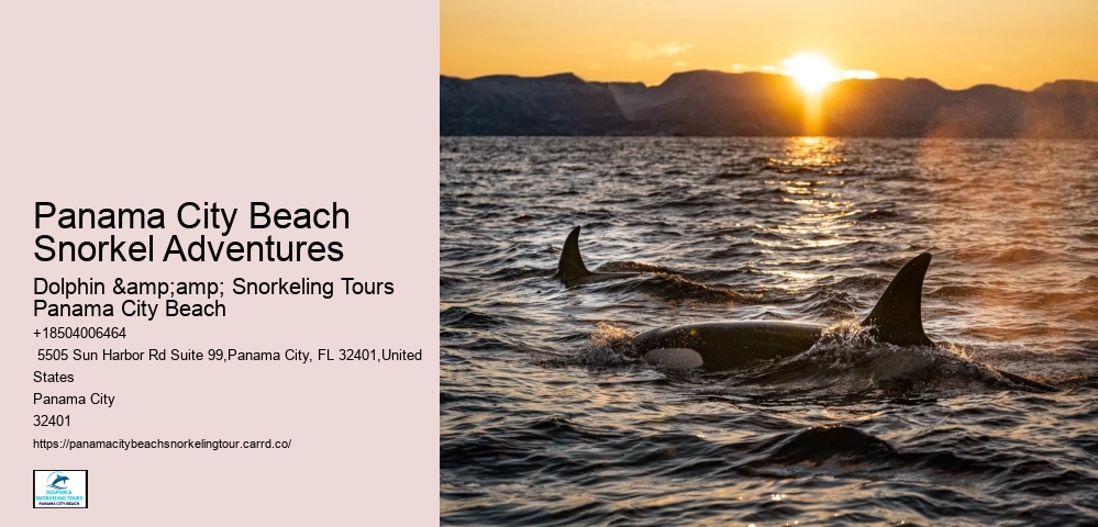 Snorkeling Experiences Departing From Panama City Beach