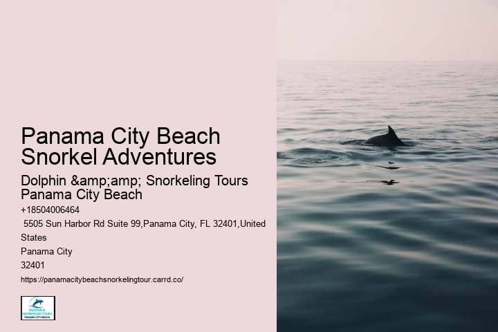 Best Scuba Diving In Panama City Beach Beach