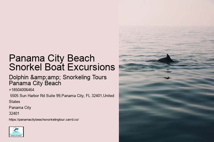 Panama City Beach Snorkel Sightseeing Tours
