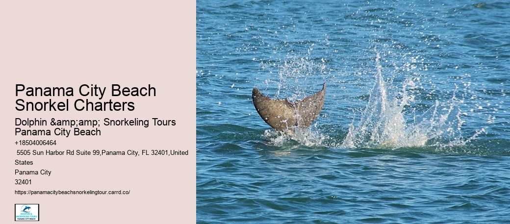 Tour Company