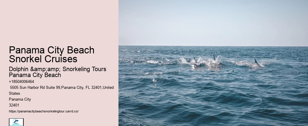 Snorkeling Charters At Panama City Beach