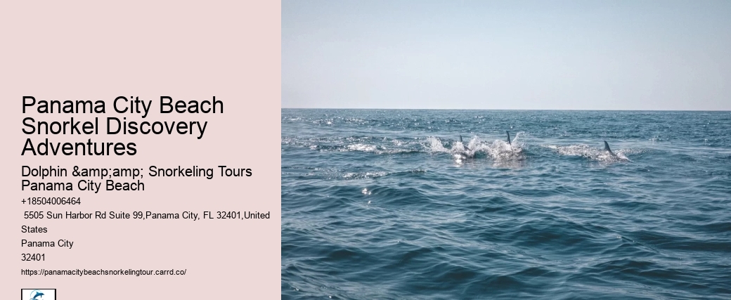 Panama City Beach Snorkeling Tours Dolphin