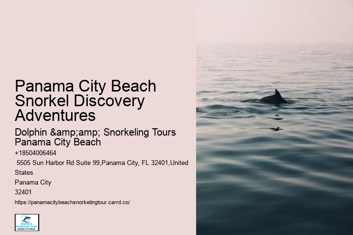 Panama City Beach Snorkel Safaris