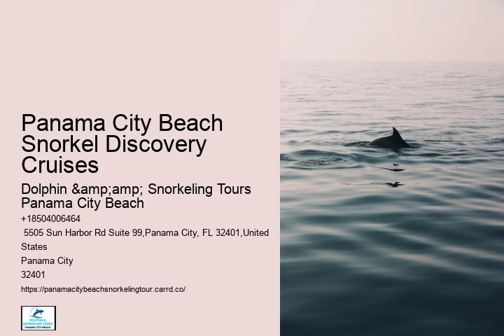 Panama City Beach Snorkeling Tours
