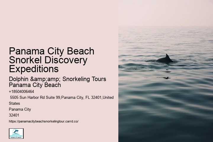 Are Panama City Beach Snorkeling Tours Affected By Weather Conditions