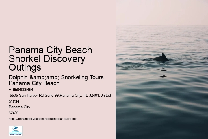 Best Snorkeling In Panama City Beach Beach