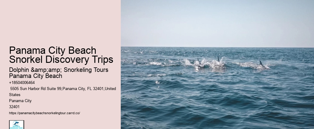 Panama City Beach Snorkeling Tours K Bay