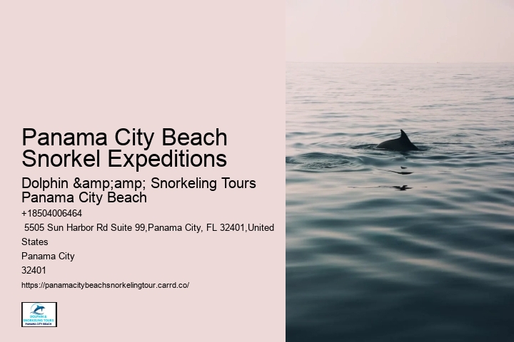 Panama City Beach Snorkel Discovery Voyages