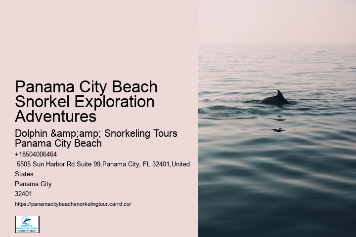 Snorkeling Charters Departing From Panama City Beach