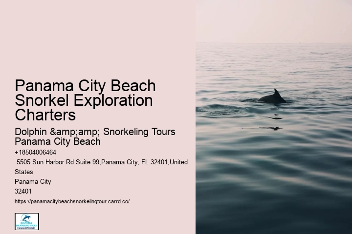 Panama City Beach Snorkeling Tours Extreme Adventure