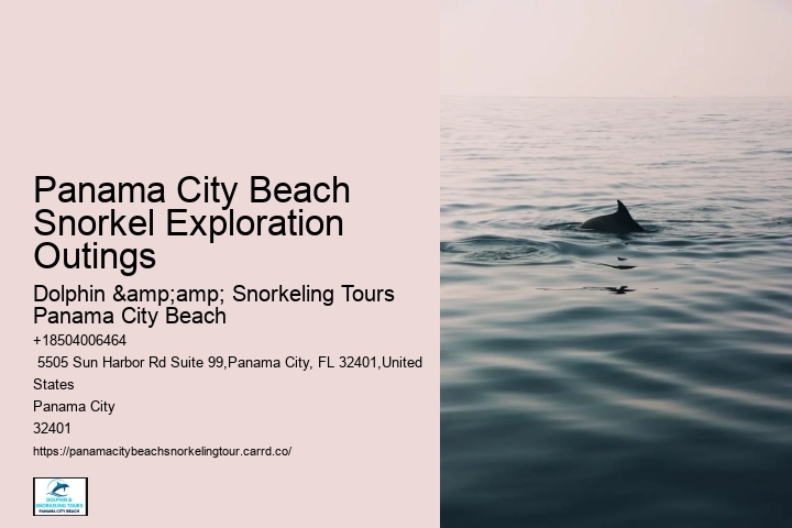 Panama City Beach Snorkel Exploration Adventures