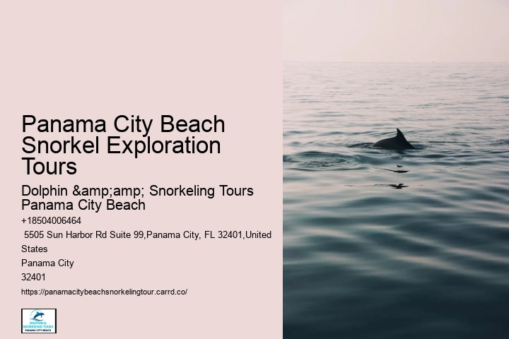 Panama City Beach Snorkel Boat Excursions
