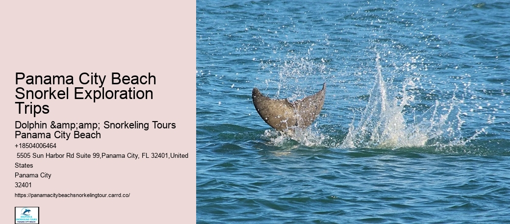 Are Food And Drinks Provided During The Snorkeling Tours