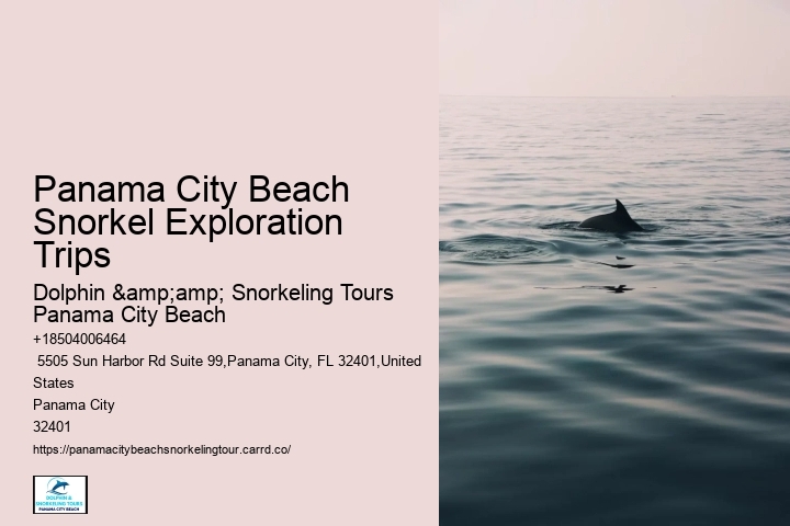 Why Are There No Shells On Panama City Beach Beach