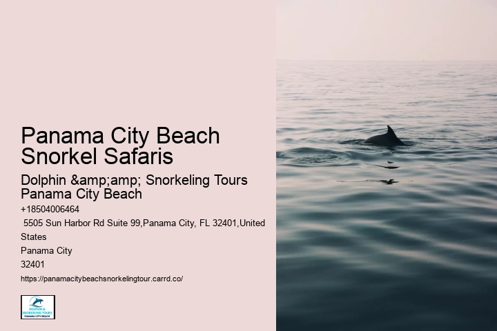 Panama City Beach Snorkel Discovery Cruises