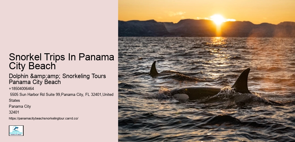 Best Snorkeling In Panama