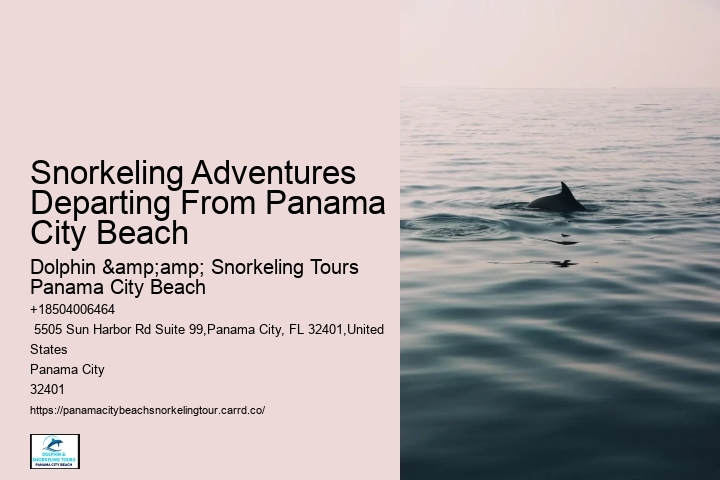 Snorkeling Experiences Around Panama City Beach