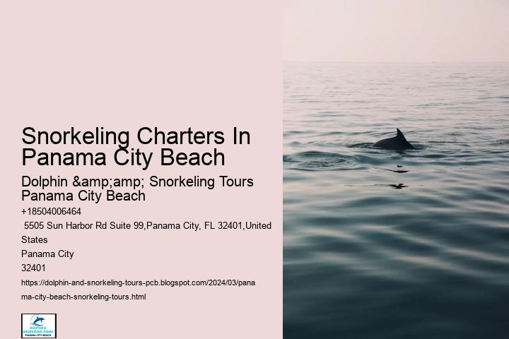 Snorkeling Charters In Panama City Beach