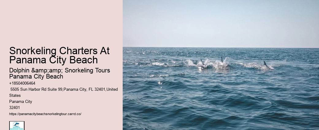 Panama City Beach Snorkel Exploration Outings