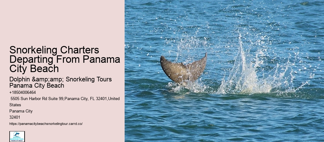 Panama City Beach Snorkel Discovery Trips