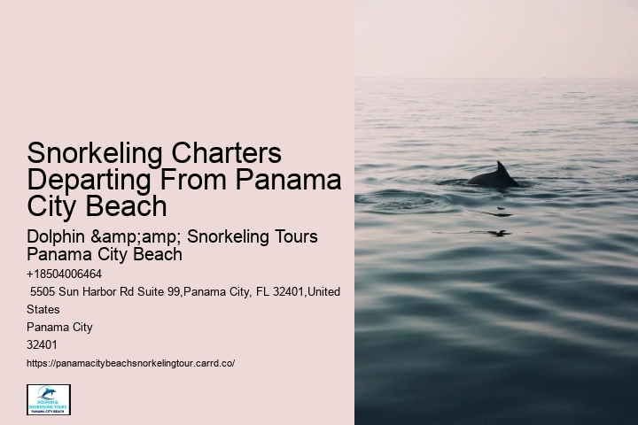 Snorkeling Trips Departing From Panama City Beach