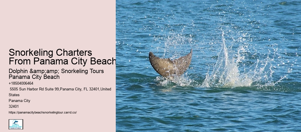 Snorkeling Adventures Departing From Panama City Beach