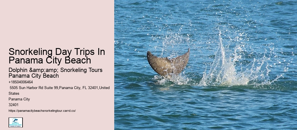 Do The Snorkeling Tours Include Instruction For Beginners